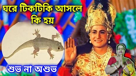 ঘরে টিকটিকি আসলে কি হয় শুভ না অশুভ অবশ্যই জেনে নিন 🙏 Youtube