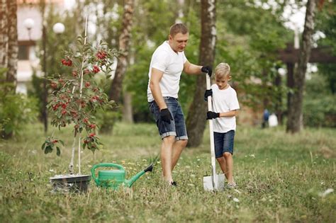 P Re Avec Petit Fils Sont En Train De Planter Un Arbre Sur Une Cour