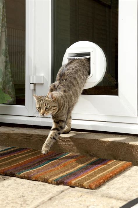 Sureflap Microchip 🐱 Cat Flap and Door