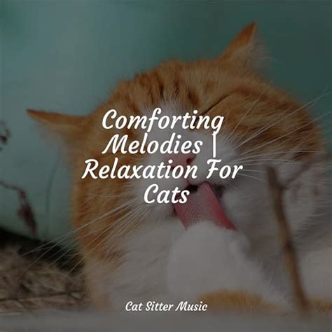 Comforting Melodies | Relaxation For Cats by Music for Relaxing Cats ...