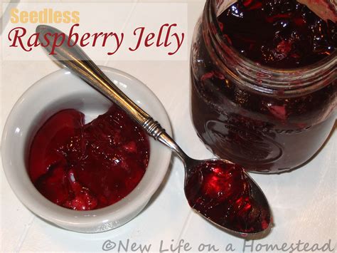 Seedless Raspberry Jelly Recipe Artofit