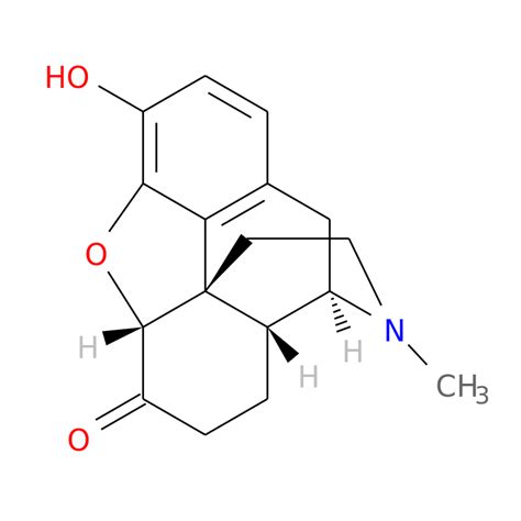 Hydromorphone Brand Name List From