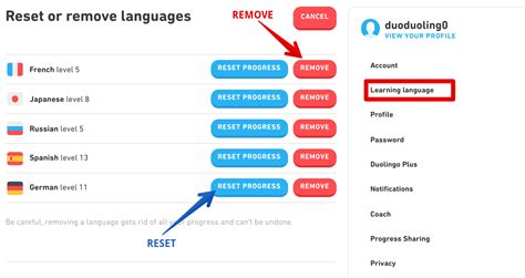 How To Delete Languages On Duolingo A Comprehensive Guide