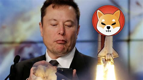 Kan Shiba Inu 0 1 Euro Worden Na 100m Burn En Tweet Musk