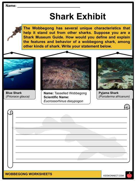 Wobbegong Facts & Worksheets | Characteristics, Behavior, Habitat