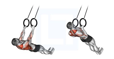 Dumbbell Incline Row - Guide, Benefits, and Form