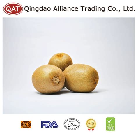 Wholesale Bulk IQF Fruits Frozen Kiwi Dice For Exporting With