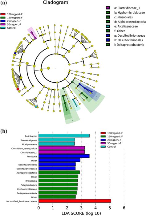 A A Cladogram That Shows The Most Differentially Abundant Bacteria