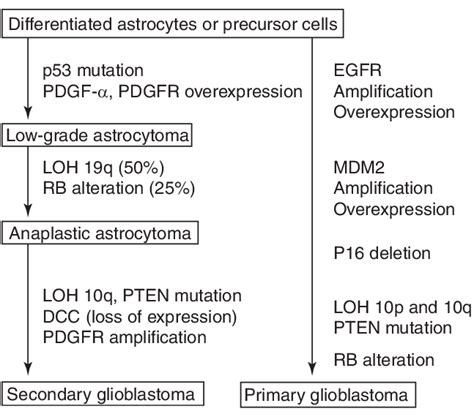 Molecular Genetic Variations Of Primary Versus Secondary Gbms Listed