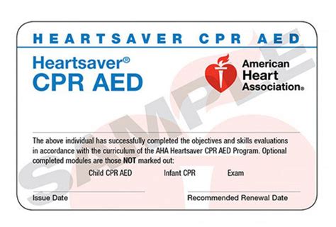 Cpr Classes Chicago American Heart Association Lionhearted