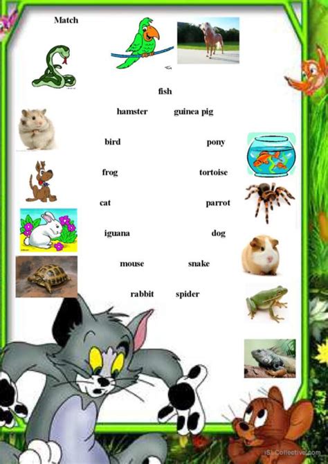 337 Pets English Esl Worksheets Pdf And Doc