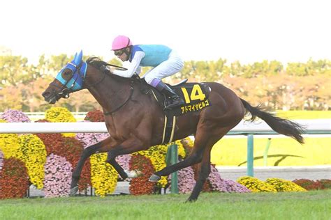 【札幌日経op】武豊騎手が導くアドマイヤビルゴ、リステッドに戻れば能力上位｜競馬ニュース｜競馬予想のウマニティ