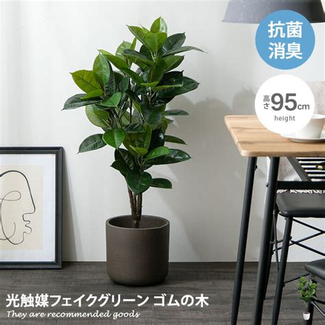 ビール 人工観葉植物 フェイクグリーン 観葉植物 造花 光触媒 大型 ゴムの木120cmラバープラント 白鉢（陶器製）インテリア おしゃれ