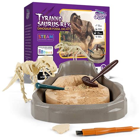 Science Can Dinosaur Fossil Dig Kit for Kids, Discovery Dinosaur ...