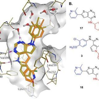 A) compound 18 (orange) docked into the 8C8C structure of PI5P4Kα-3 ...