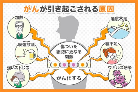 がんとは？特徴や種類について解説 治験モニターのススメ