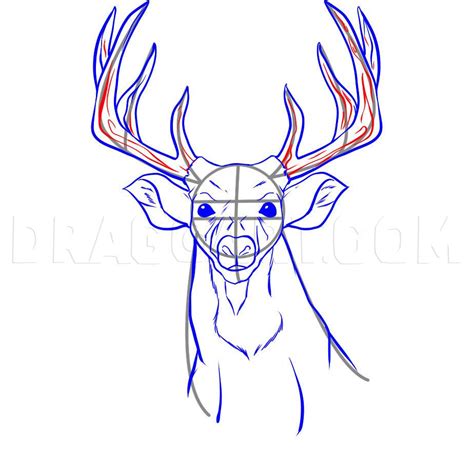 How to draw a realistic deer draw real deer step by step drawing guide ...