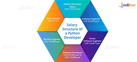 Python Developer Roles And Responsibilities [2025 Updated]