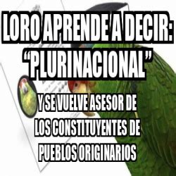 Meme Personalizado Loro Aprende A Decir Plurinacional Y Se Vuelve