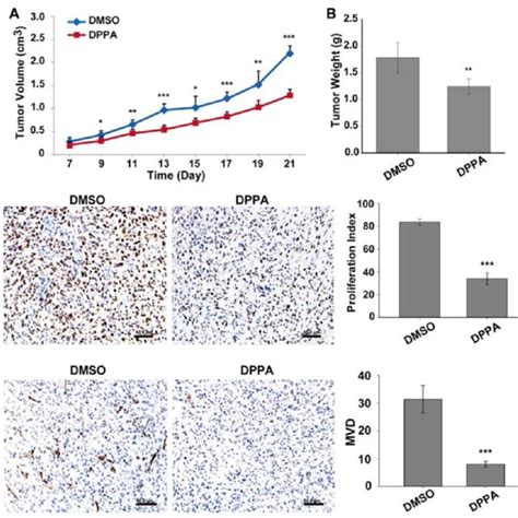 Dppa Inhibits T Subcutaneous Tumor Growth In Vivo A The Structure