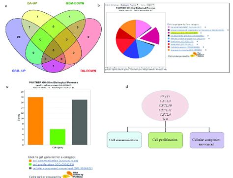 Gene Expression Summary and Gene Ontology Analysis. a) Venn diagram... | Download Scientific Diagram