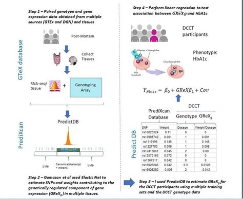 Overview Of The Workflow Implemented In This Thesis To Test For