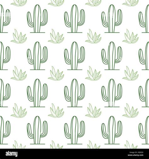 Cactus Pattern Colorful Cactus Pattern Design Cactus Desert Plant Pattern Desert Plant Stock