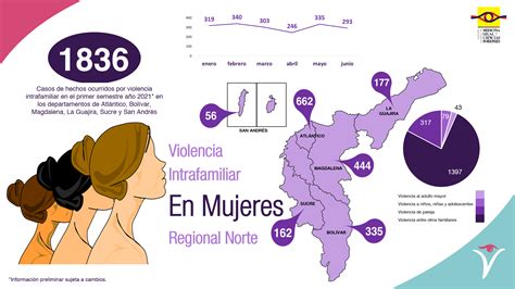 Observatorio De Violencia Contra La Mujer Instituto Nacional De