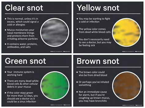 Phlegm Color Chart - storiesfasr