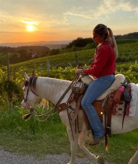 Le 15 Migliori Passeggiate A Cavallo In Veneto Holidoit