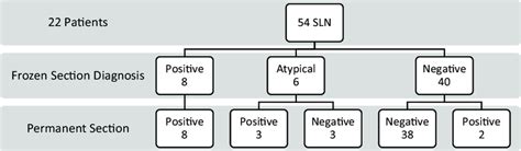 Sentinel Lymph Nodes Sln Sent For Frozen Section Diagnosis Via