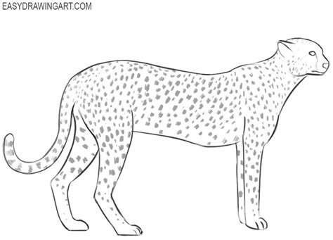 How To Draw A Cheetah Easy Drawing Art Drawing Faces Drawing Art