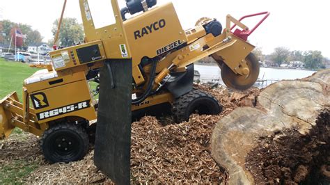 Stump Grinding Rochester Hills Affordable Removal Services