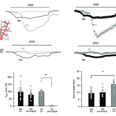 Oxygen And Glucose Deprivation OGD Induces Inward Currents And