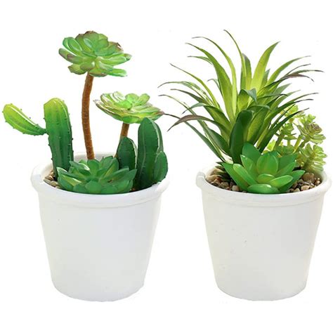 Primrue Artificial Succulents In Ceramic Pots Medium Fake Faux