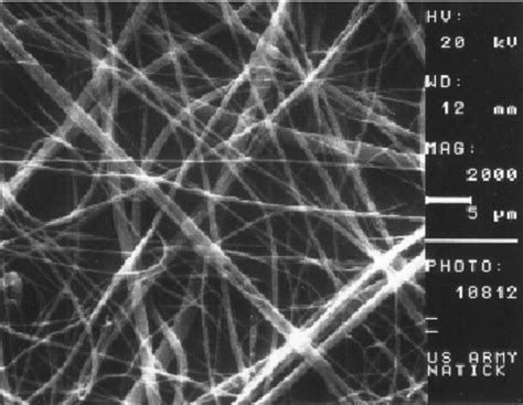 ESEM Image of Bacillus atrophaeus spores on a fiber. Although some ...