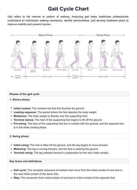 Gait Cycle Chart And Example Free Pdf Download