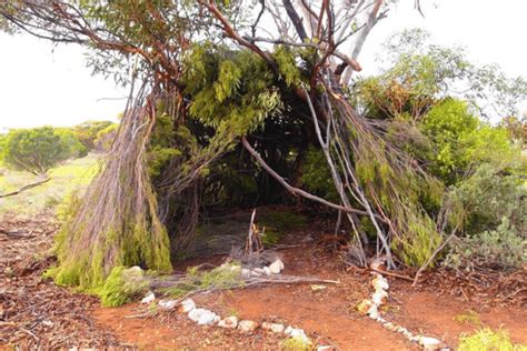 Embarking On Outdoor Adventures A Beginners Guide To Bushcraft Camp