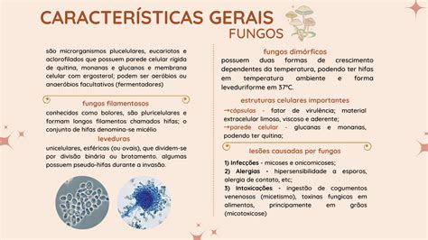 Mapa Mental Características gerais de Fungos Microbiologia