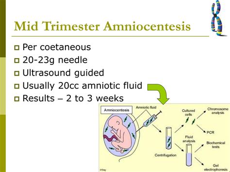 Ppt Amniocentesis And Cvs Powerpoint Presentation Free Download Id