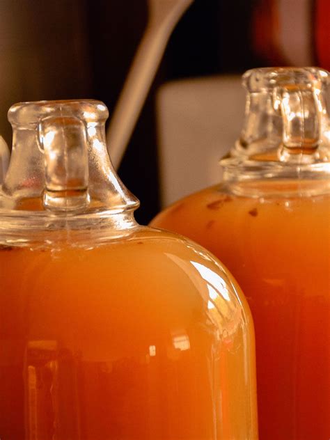 Simple Apple Cyser Mead Recipe Fermenters Kitchen Artofit