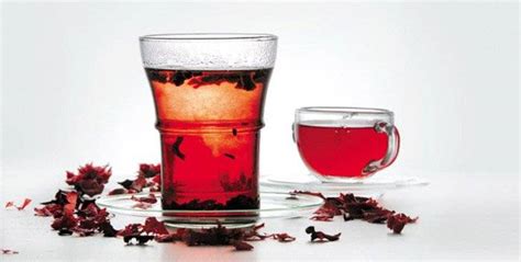 flowering tea growing  popularity  hancinema