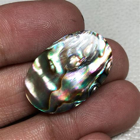 Cts Amazing Natural Abalone Shell Cabochon Good Etsy