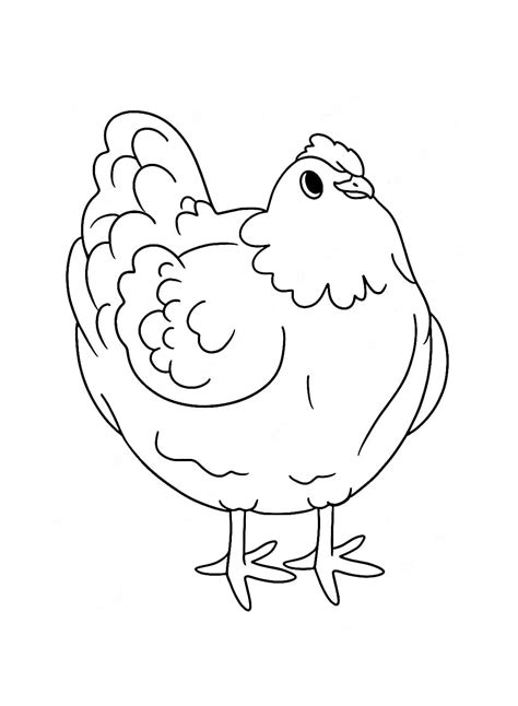 Imagem De Galinha Para Colorir