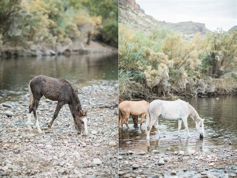 Salt River Arizona Engagement Session || Coons Bluff Engagement Session ...