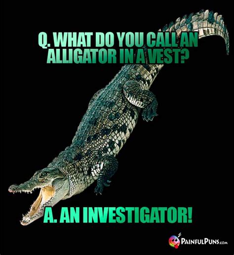 Alligator Jokes Crocodile Puns Reptile Humor 2