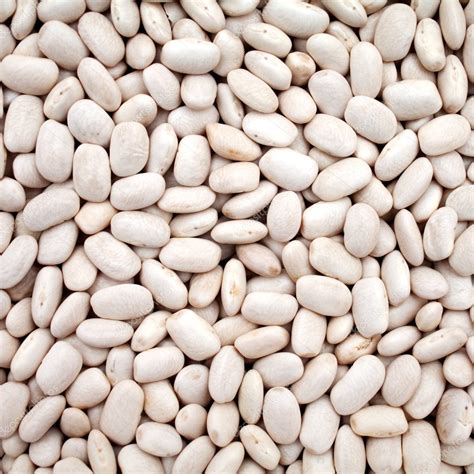 White haricot beans — Stock Photo © illustrart #6880501