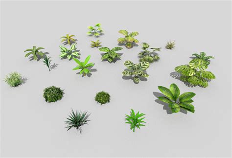 3d Model 20 Low Poly Tropical Foliage Pack Vr Ar Low Poly Cgtrader