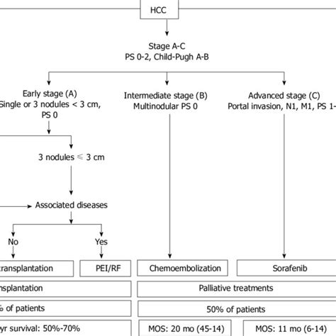 Updated Barcelona Clinic Liver Cancer Staging System And Treatment Download Scientific Diagram