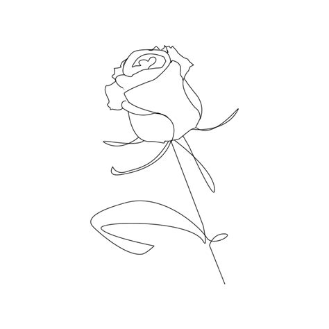 Rose Lineart Hd Transparent Aesthetic Rose Flower Lineart Rose